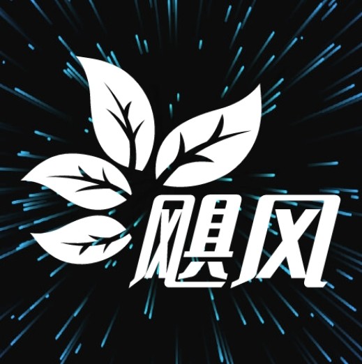 91AV毛片视频APP应用